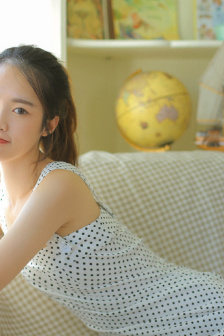 十二寡妇征西